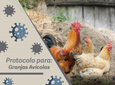 Granjas_Avicolas.pdf